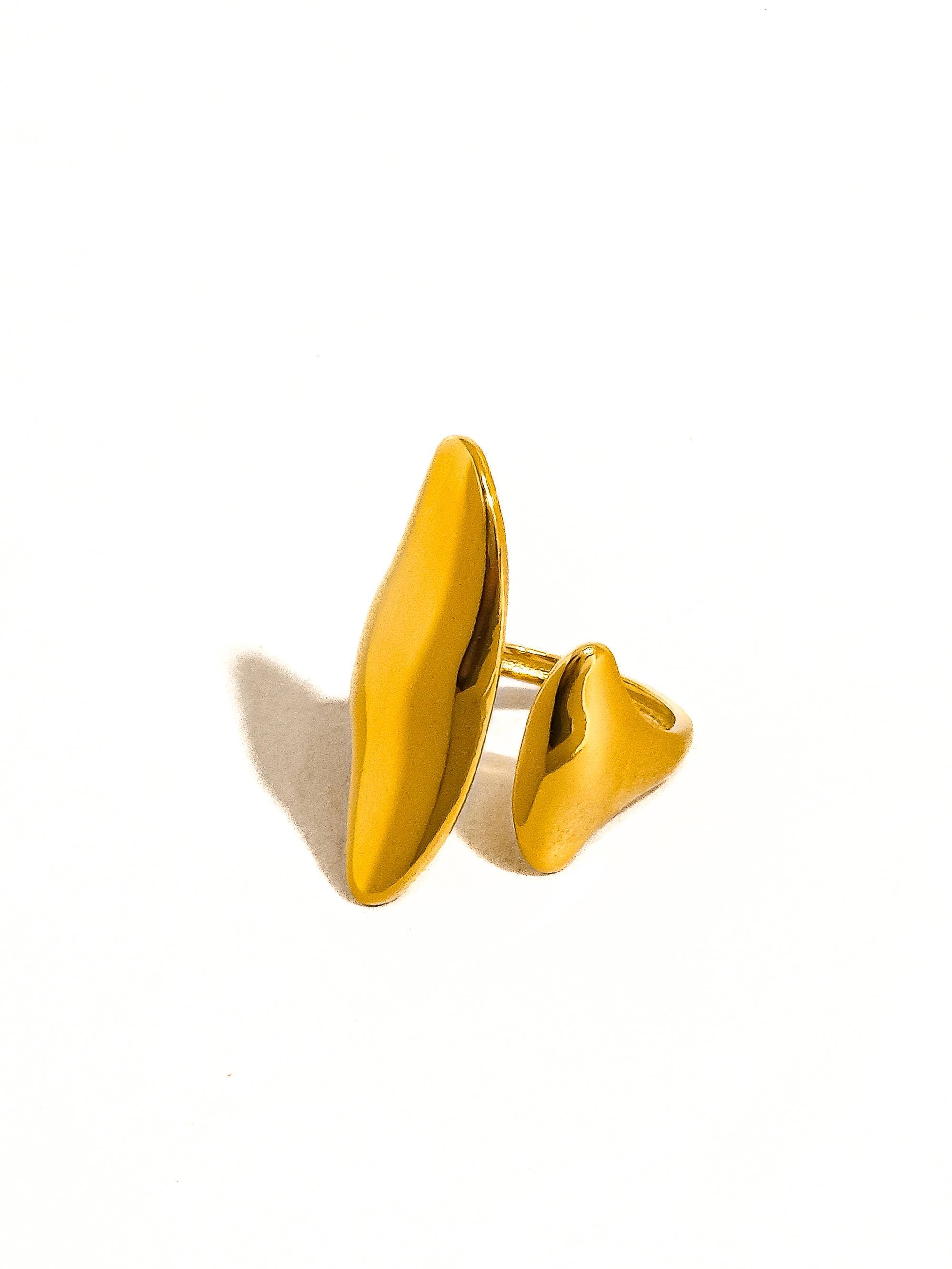 Danielle abstract ring